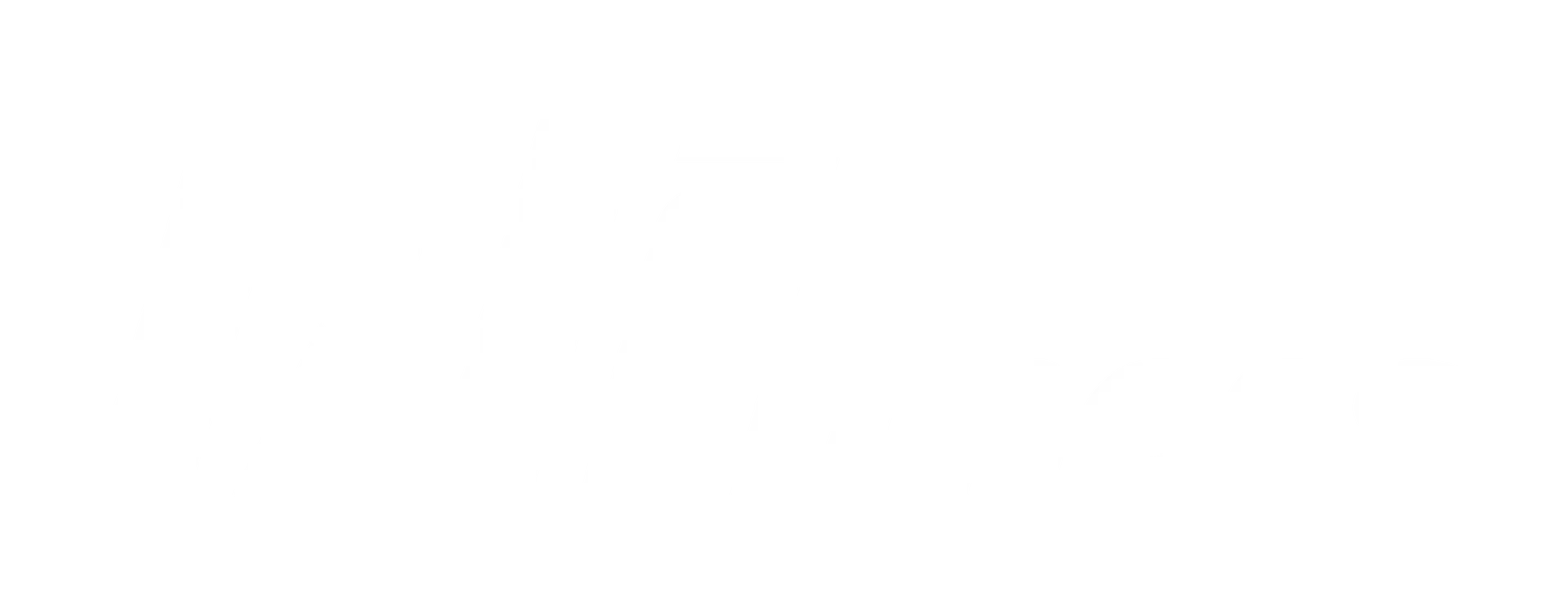 Now or Never Fitness Logo